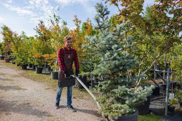 Best Landscape Design and Installation  in Fairmont, MN